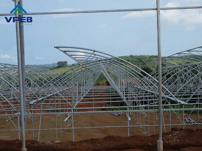 Nhà kính mái hở cố định 1 bên – Vpeb Greenhouse Nhà kính mái hở cố định 1 bên - Vpeb Greenhouse