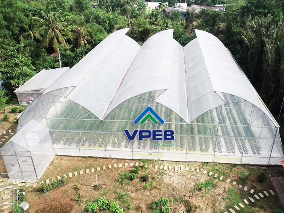 Trang trại VPEB GREENHOUSE -Bình Thuận với diện tích 9ha đang trong quá trình hoàn thiện các hạng mục