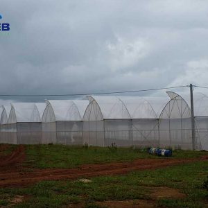 Nhà kính mái hở cố định 1 bên - Vpeb Greenhouse