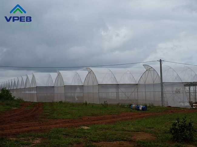 Nhà kính mái hở cố định 1 bên - Vpeb Greenhouse