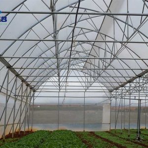 Mô hình nhà kính mái hở cố định 1 bên - Vpeb Greenhouse