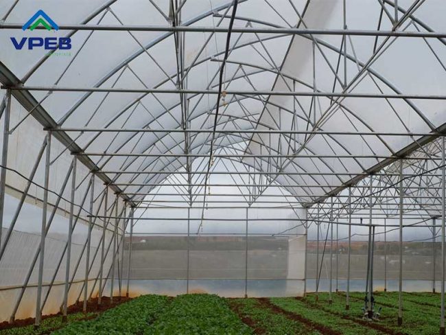 Mô hình nhà kính mái hở cố định 1 bên - Vpeb Greenhouse