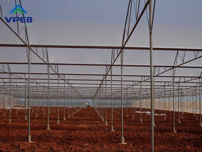 Nhà kính mái hở cố định 1 bên - Vpeb Greenhouse