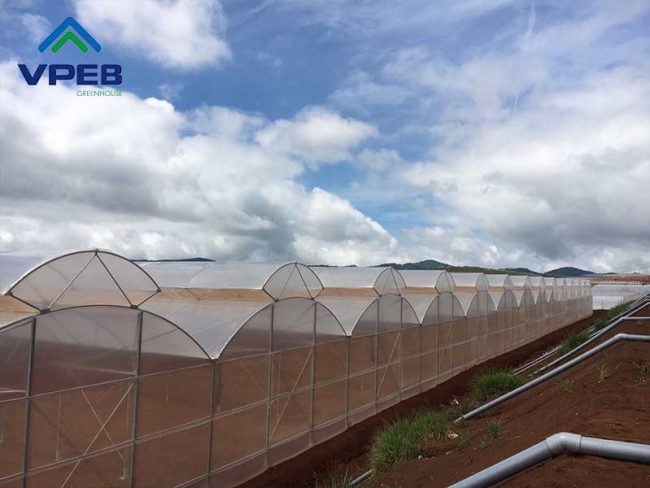 Nhà kính mái hở hai bên - VPEB GREENHOUSE