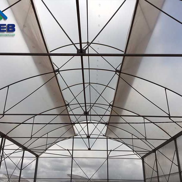Nhà kính mái hở hai bên - VPEB GREENHOUSE