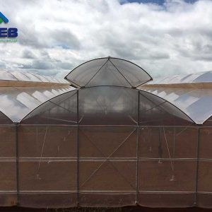 Nhà kính mái hở hai bên - VPEB GREENHOUSE