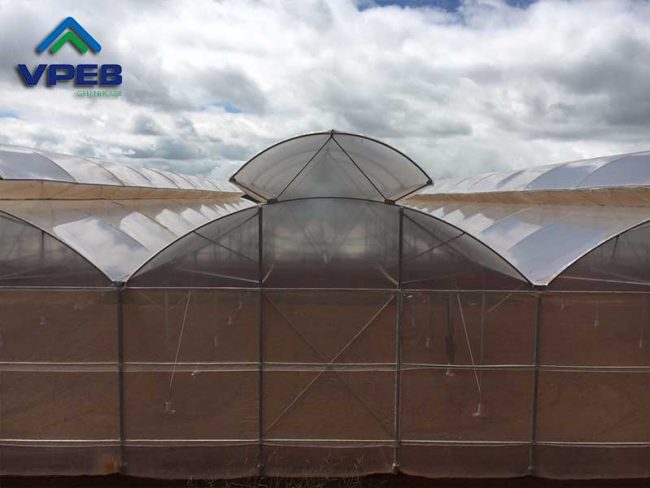 Nhà kính mái hở hai bên - VPEB GREENHOUSE