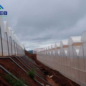 Nhà kính mái hở hai bên - VPEB GREENHOUSE