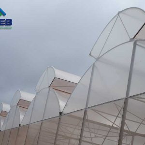 Nhà kính mái hở hai bên - VPEB GREENHOUSE