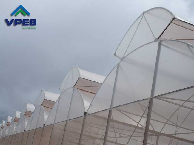 Nhà kính mái hở hai bên - VPEB GREENHOUSE