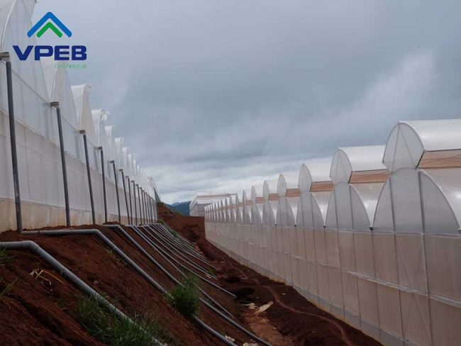 Nhà kính mái hở hai bên - VPEB GREENHOUSE
