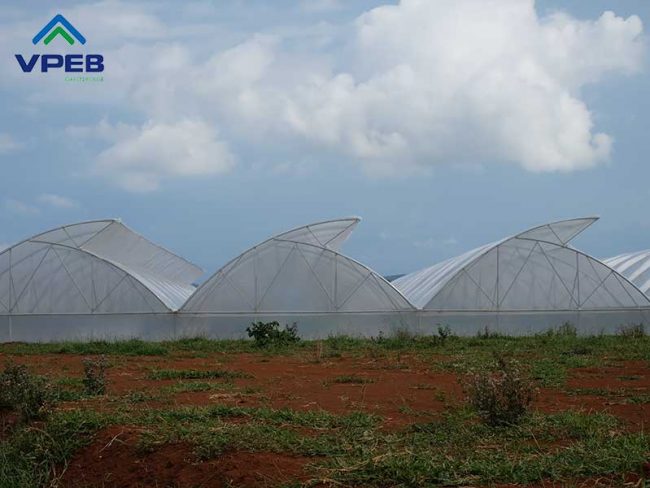 Nhà kính mái hở cố định 1 bên - Vpeb Greenhouse