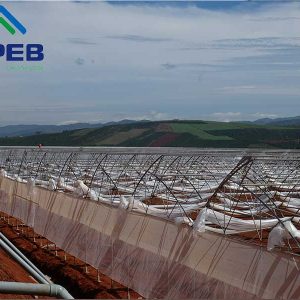 Màng phủ nhà kính