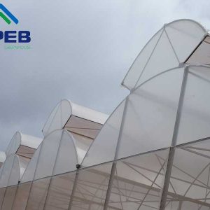 Màng phủ nhà kính nông nghiệp công nghệ cao