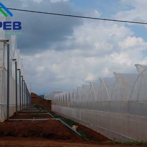 Màng phủ nhà kính nông nghiệp