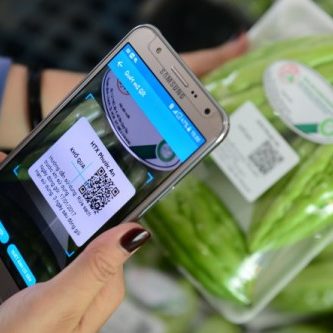 truy suất nguồn gốc thực phầm bằng công nghệ QR Code truy suất nguồn gốc thực phầm bằng công nghệ QR Code