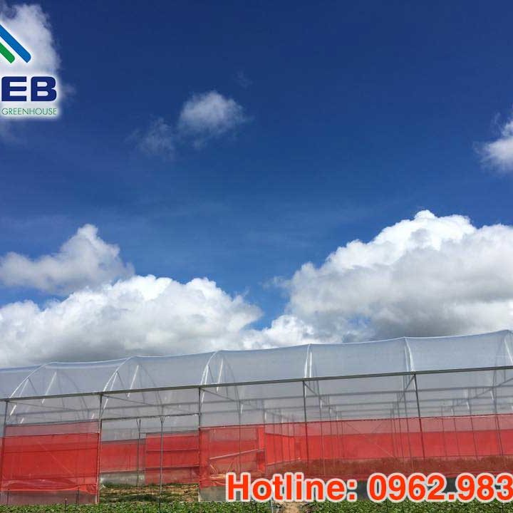 Lưới cắt nắng được cung cấp bới VPEBGREENHOUSE được sử dụng trong nhà kính Lưới cắt nắng được cung cấp bới VPEBGREENHOUSE được sử dụng trong nhà kính