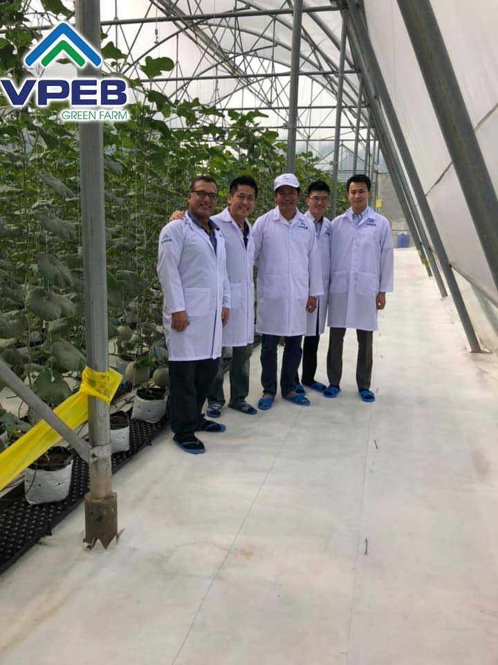 Các chuyên gia nông nghiệp đã thăm VPEB GREENFARM
