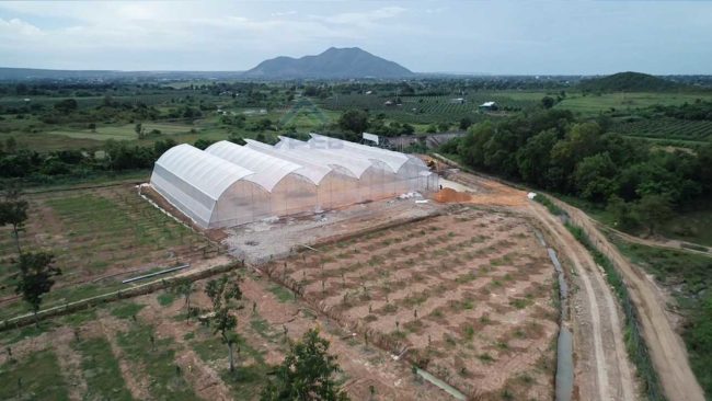 VPEB thi công dự án 2000m2 nhà kính trồng dưa lưới cho Khách Hàng VPEB thi công dự án 2000m2 nhà kính trồng dưa lưới cho Khách Hàng