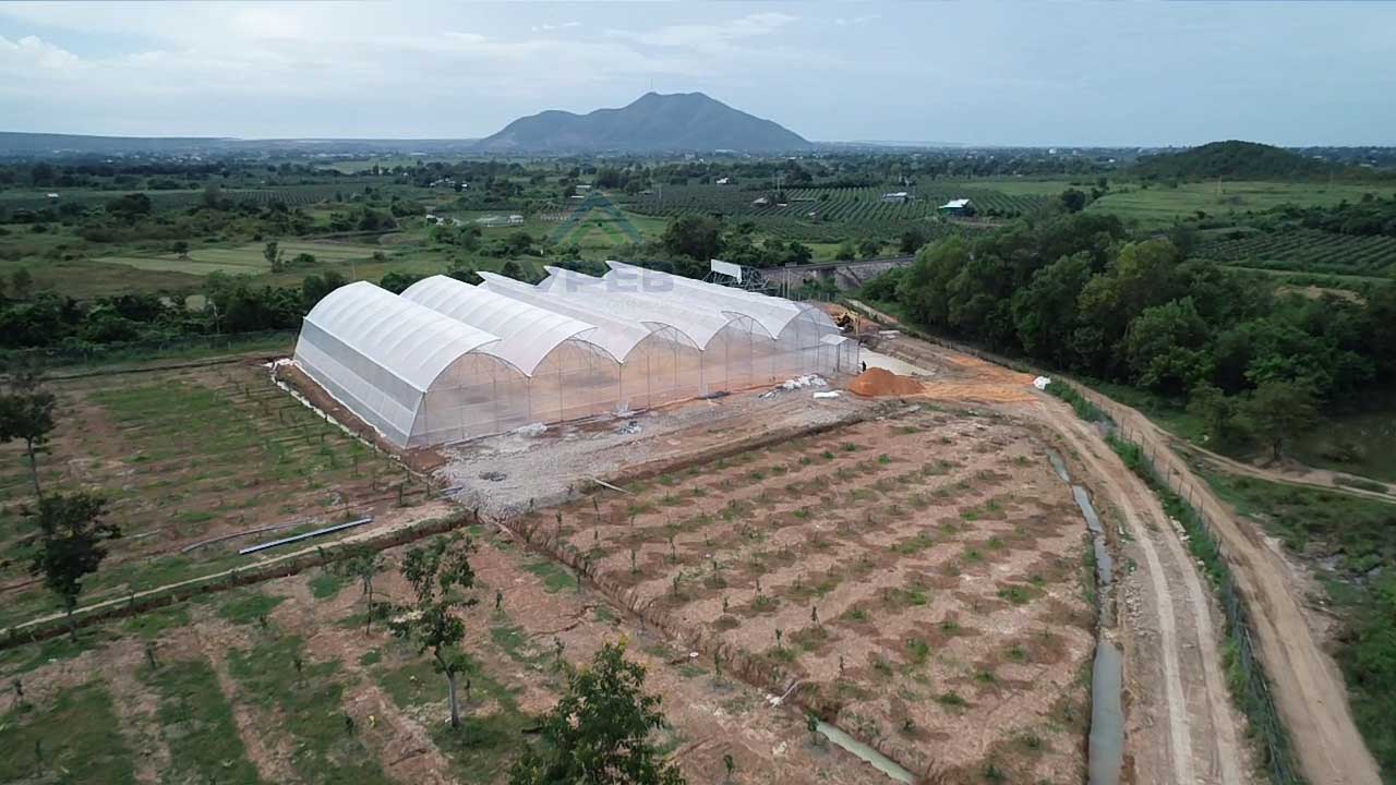VPEB thi công dự án 2000m2 nhà kính trồng dưa lưới cho Khách Hàng